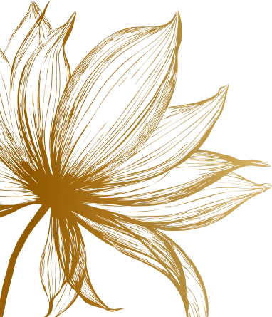 footer-decor